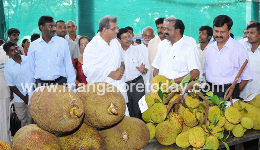 Jackfruit Mela